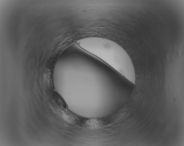 X0000077330231200610200923