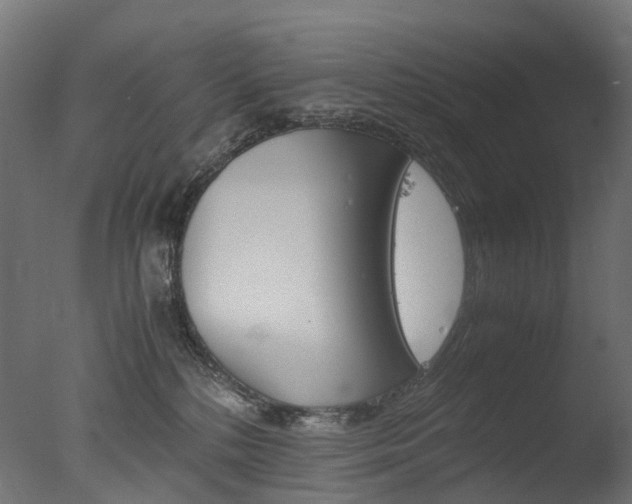 X0000077330232200610200923