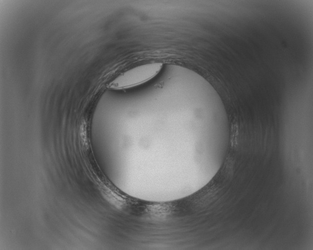 X0000077330238200610200923