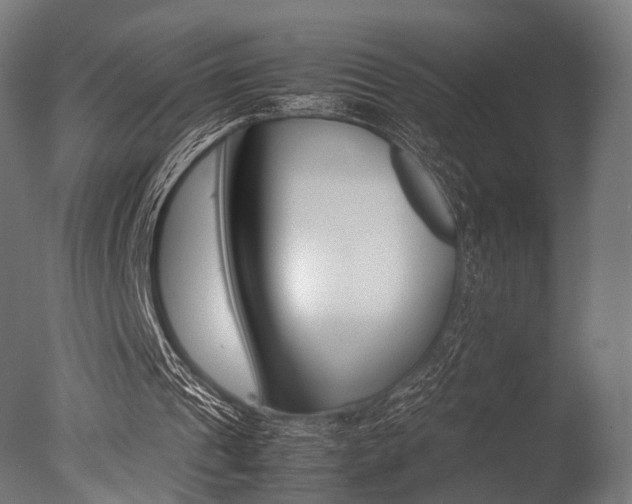 X0000077330241200610200922