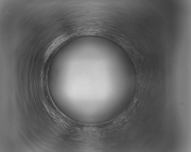 X0000077330242200610200922