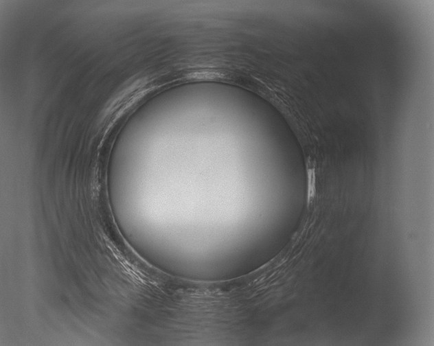 X0000077330243200610200922
