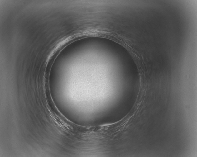 X0000077330244200610200922