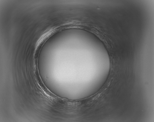 X0000077330245200610200922