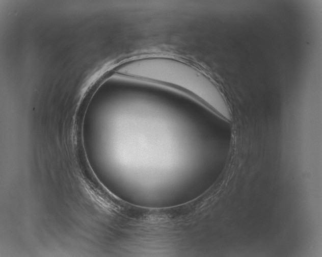 X0000077330248200610200922