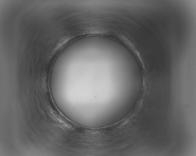 X0000077330249200610200922