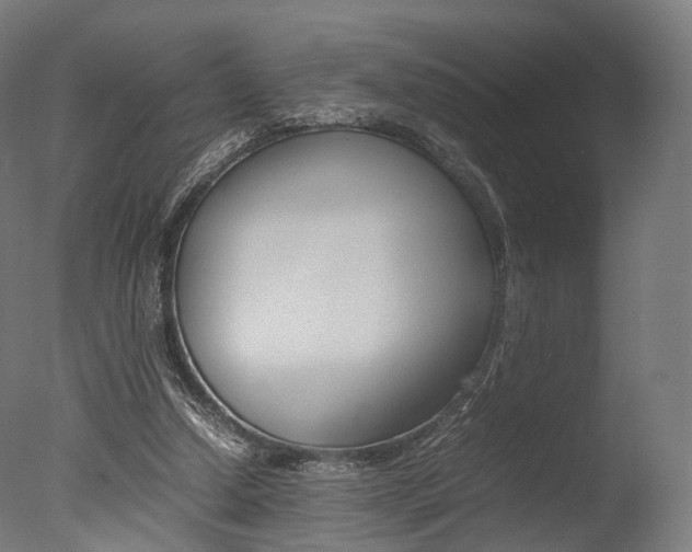X0000077330250200610200922