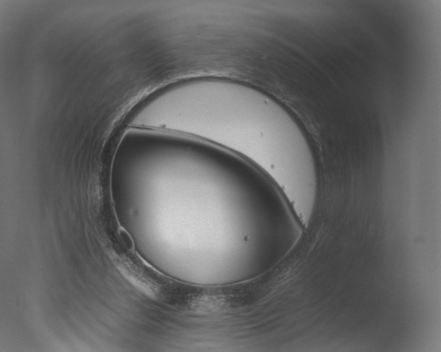 X0000077330252200610200922