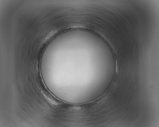 X0000077330253200610200922