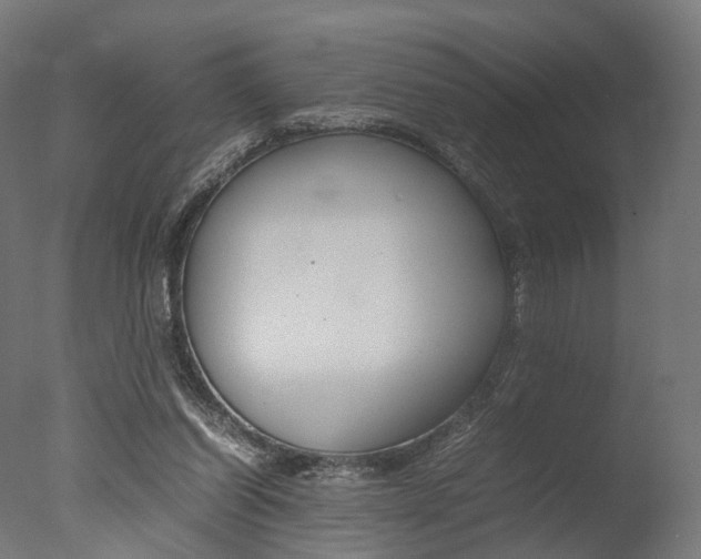 X0000077330254200610200922