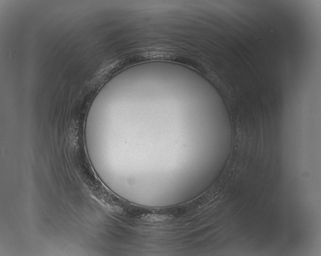 X0000077330255200610200922