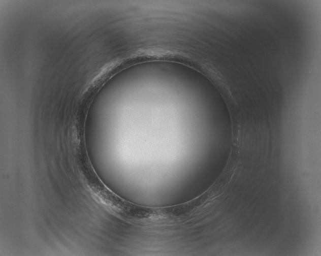 X0000077330256200610200922