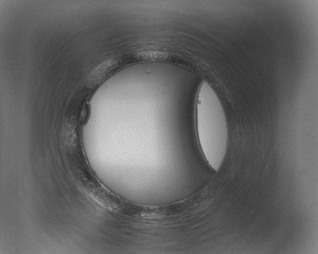 X0000077330259200610200922