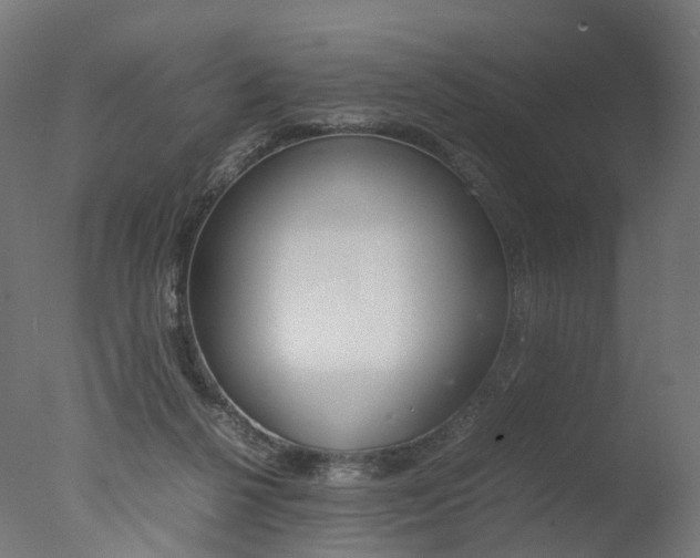 X0000077330264200610200922