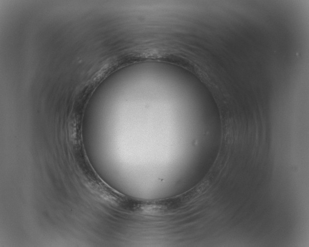 X0000077330268200610200922