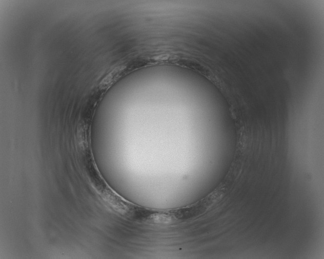 X0000077330272200610200922