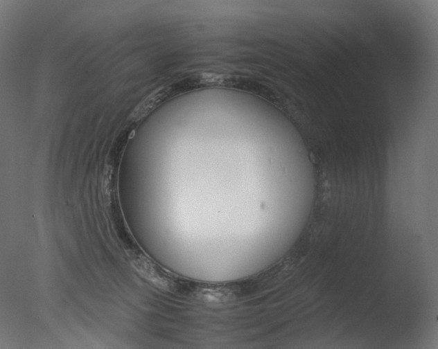 X0000077330275200610200922