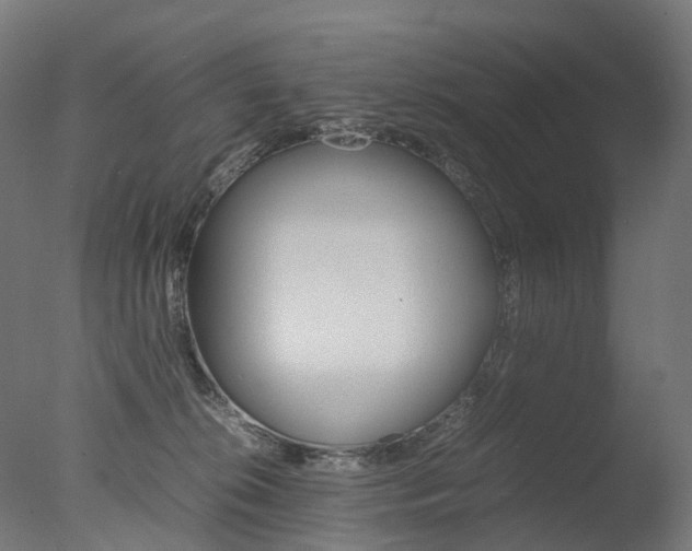 X0000077330276200610200922