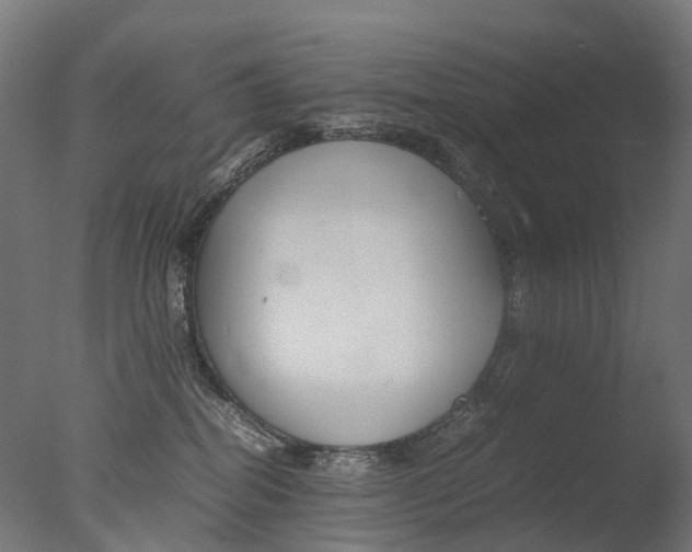 X0000077330282200610200923