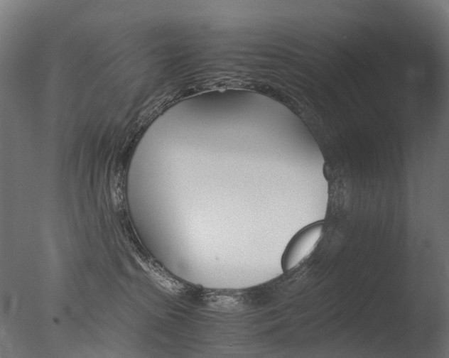 X0000077330285200610200923