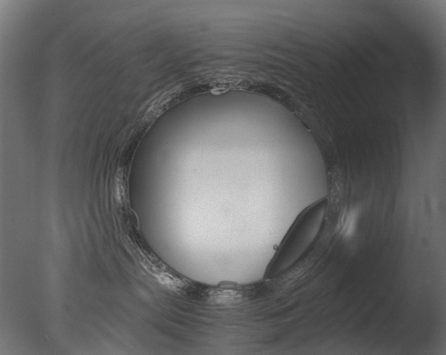 X0000077330287200610200923