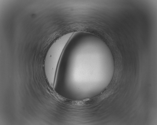 X0000077330288200610200923