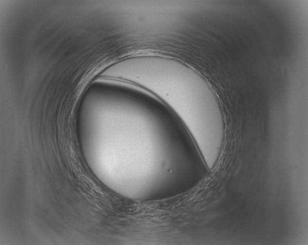 X0000077330289200610200922