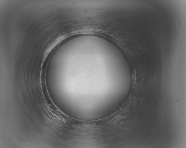 X0000077330292200610200922
