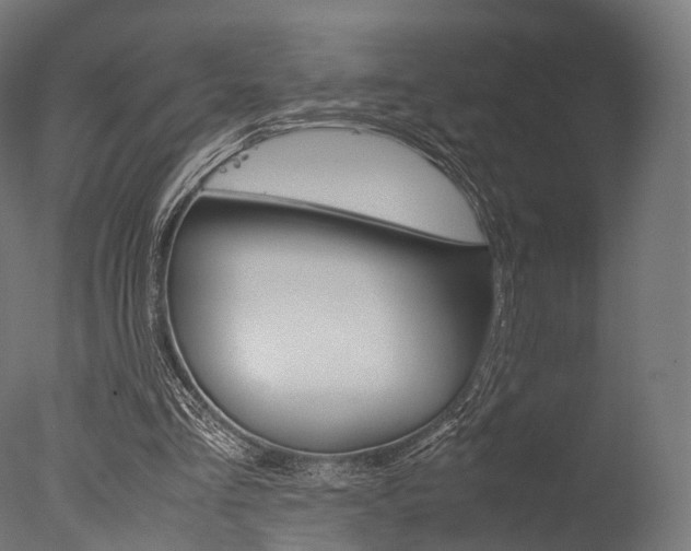 X0000077330293200610200922