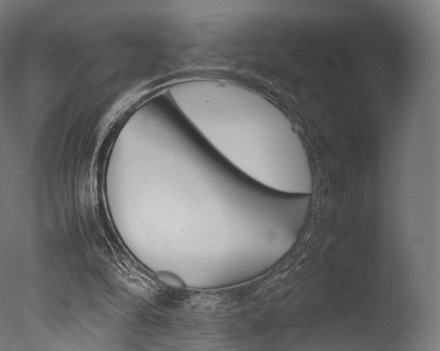 X0000077330294200610200922