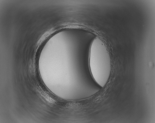 X0000077330296200610200922