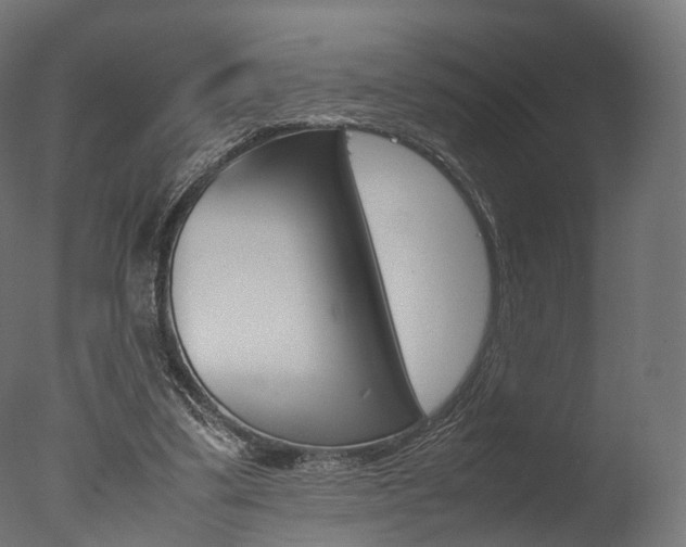 X0000077330299200610200922