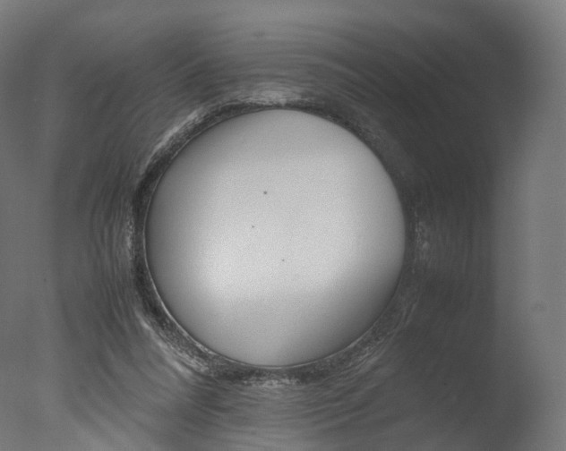 X0000077330304200610200922