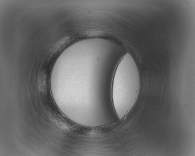 X0000077330308200610200922
