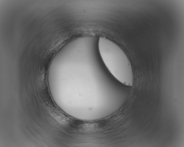 X0000077330314200610200921