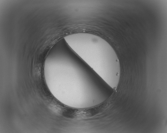 X0000077330315200610200921