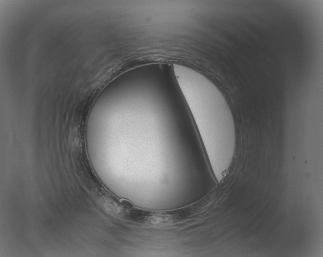 X0000077330317200610200921