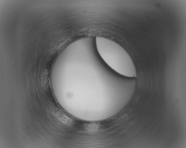X0000077330318200610200921