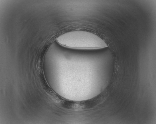 X0000077330319200610200921