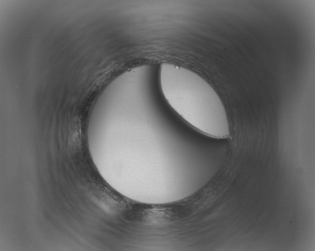 X0000077330320200610200921