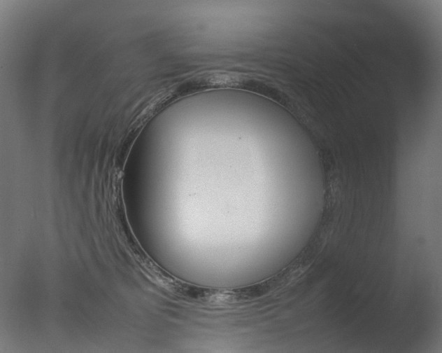 X0000077330325200610200921