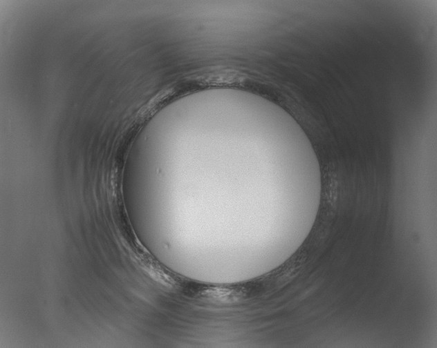 X0000077330326200610200921