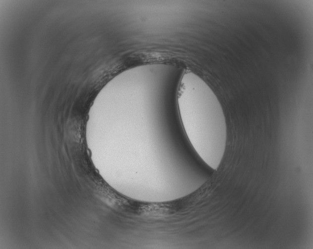 X0000077330331200610200921
