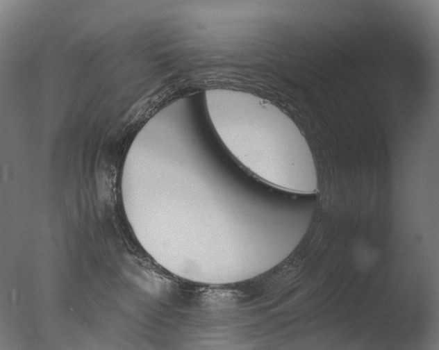 X0000077330332200610200921
