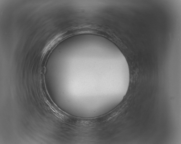 X0000077330341200610200920