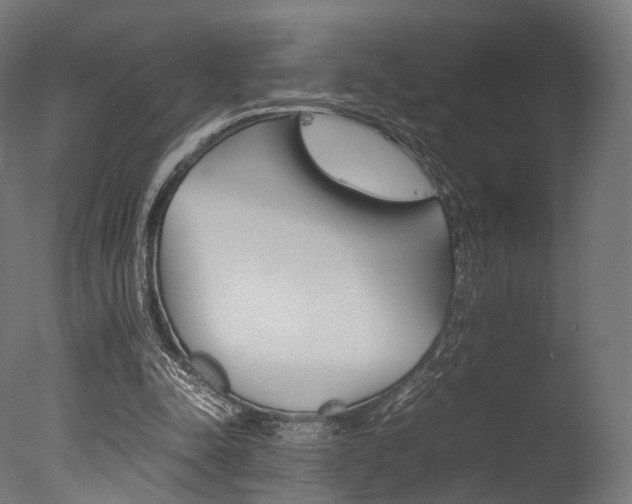 X0000077330342200610200920