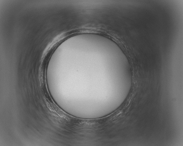 X0000077330343200610200920