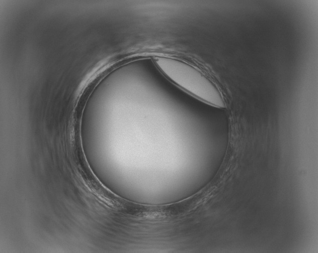 X0000077330344200610200920