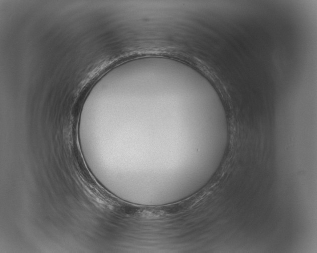 X0000077330346200610200920