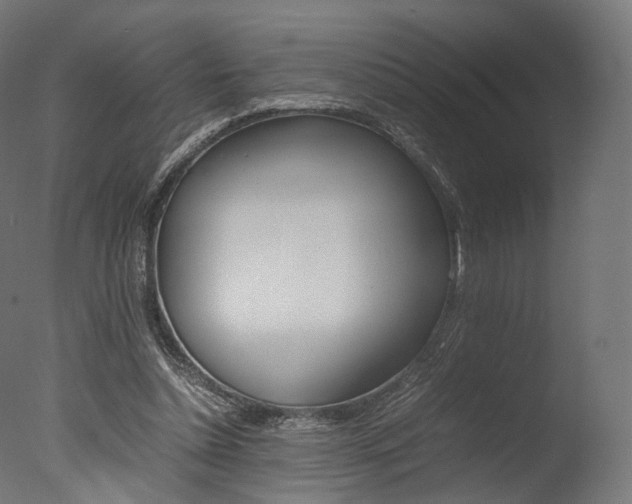 X0000077330348200610200920